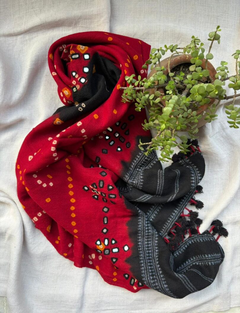 WhatsApp Image 2025-11-24 at 12.34.01_b9e1da14